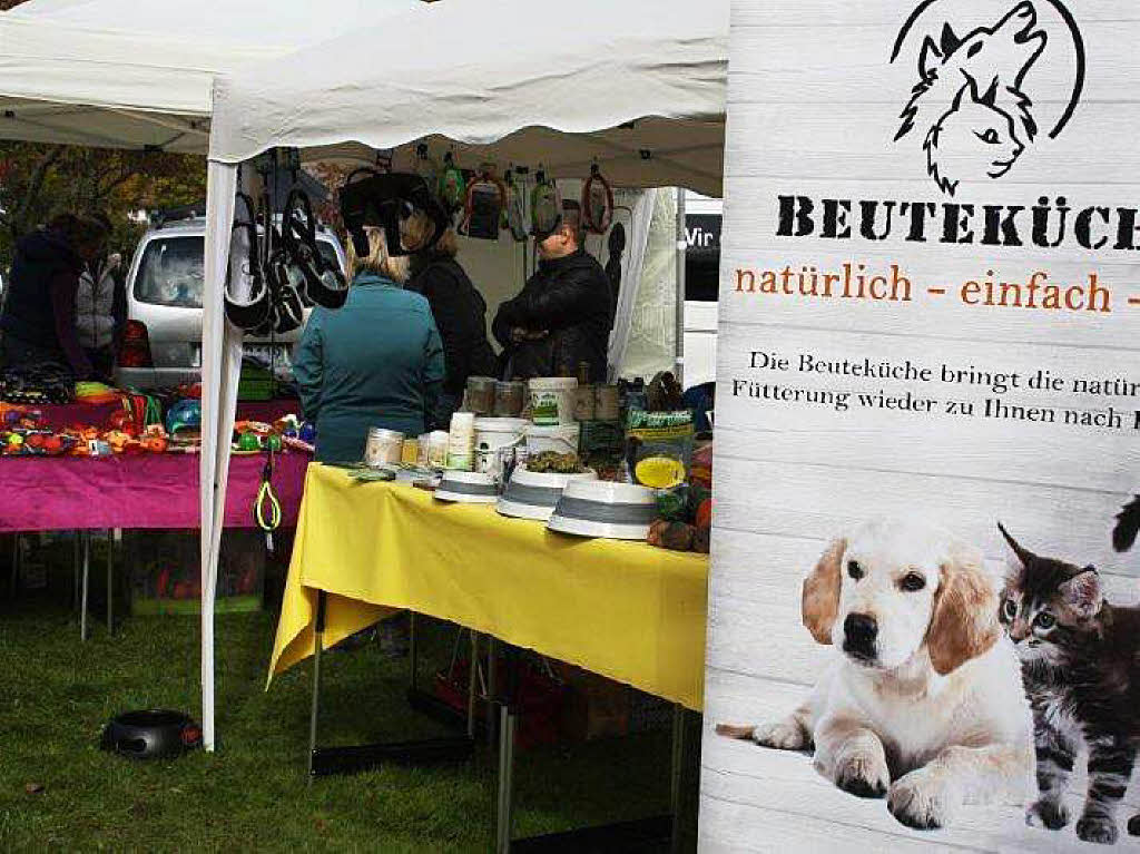 Impressionen vom Schlittenhundefestival in Todtmoos.