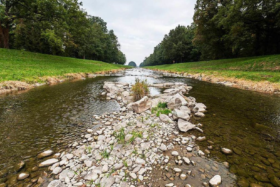 Fotos So wild und schön ist die Dreisam bei Niedrigwasser Freiburg