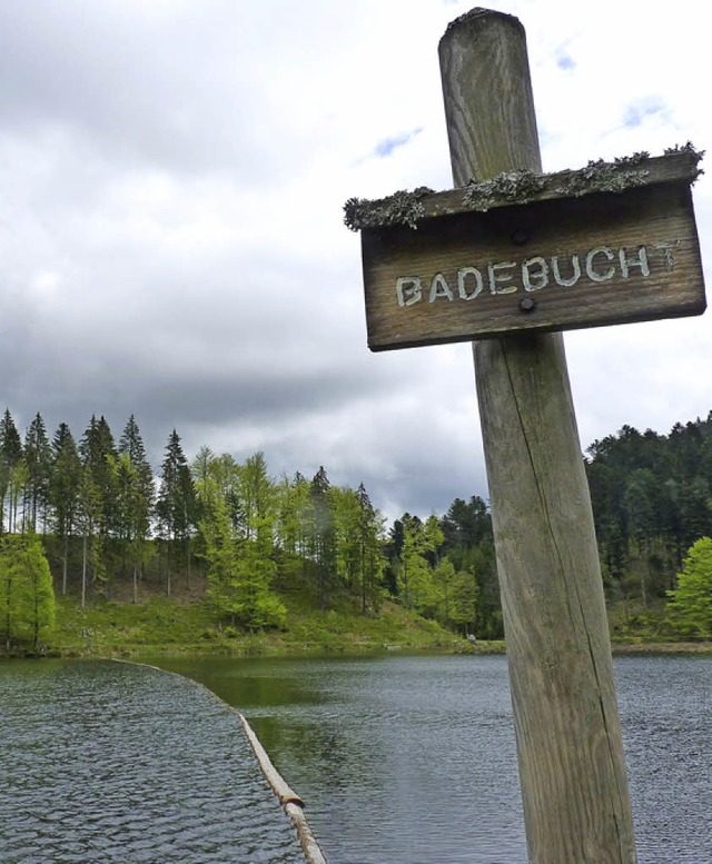 Dunkle Wolken ber dem einsamen Nonnenmattweiher     | Foto: dsa