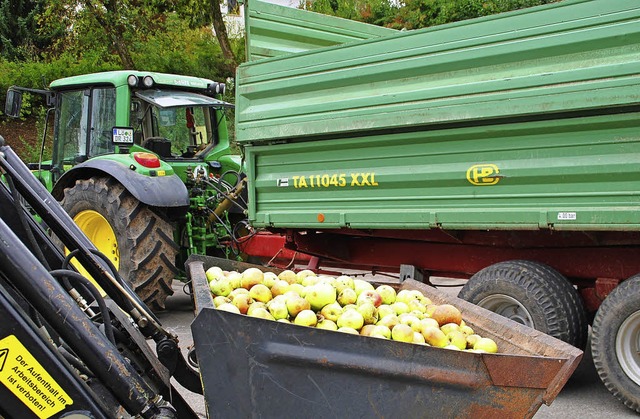 Zum 25. Mal sammelt der BUND am 18. Ok...en, um daraus Apfelsaft herzustellen.   | Foto: archivfoto: Edgar Steinfelder