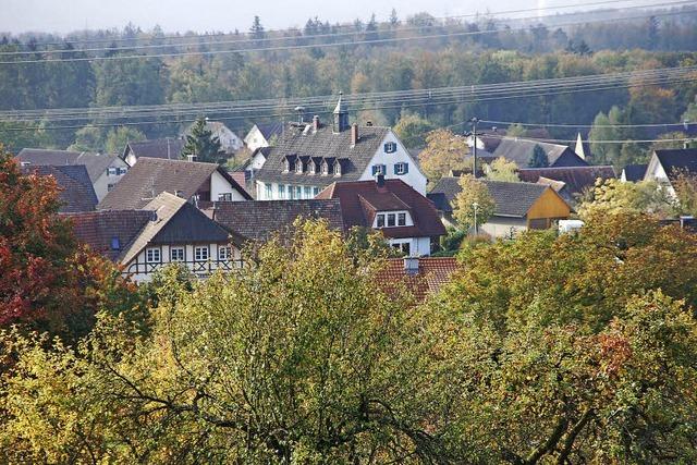 Holzeinschlag verluft nach Plan