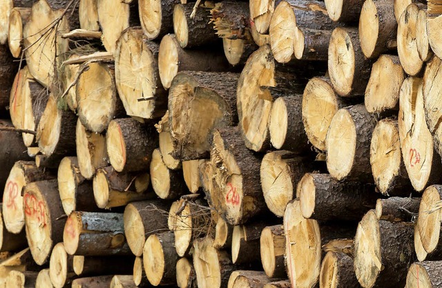 Holz ber Holz: Die Lager der neuen Ve...inschaft geraten, mehr einzuschlagen.   | Foto: DPA