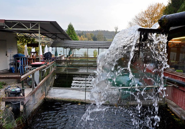 Hier sprudelt sauberes Wasser in den T...e ffentliche Kanalisation abgeleitet.  | Foto: Peter Gerigk