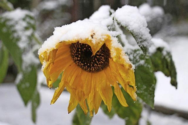 Der Winter hat vorbeigeschaut