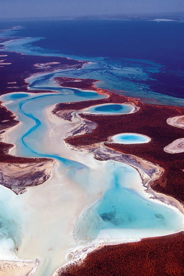 Lebensraum fr bedrohte australische Tierarten: Franois-Peron-Nationalpark   | Foto: Tourism Western Australia