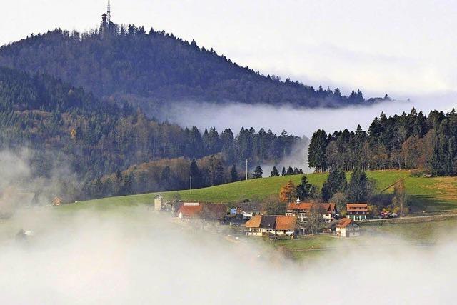 Biosphrengebiet wird fr Schopfheim konkret