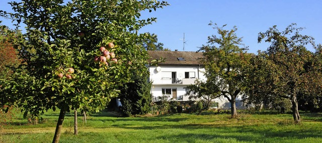 Diese Streuobstwiese kann nicht mehr a...rde frs Baugebiet Hutmatt geopfert.    | Foto: Archivfoto: Bergmann