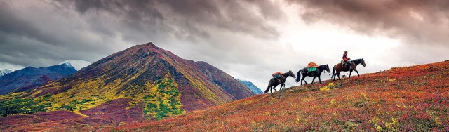 Ritt durch die Wildnis: Vier Jahre lan...amser in Kanada und Alaska unterwegs.   | Foto: Gnter Wamser