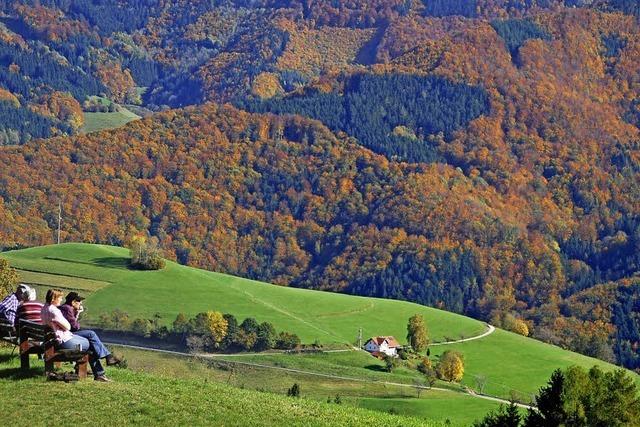 Feriengast kritisiert die Kurtaxe