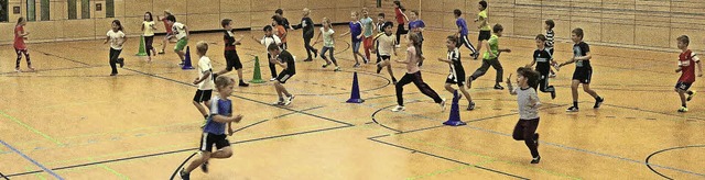 Nachwuchswerbung fr den Handballsport...urg am landesweiten Handballtag teil.   | Foto: Hege