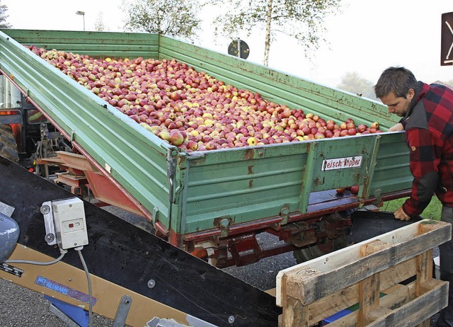 Vom Apfel zum Saft: Was die Kunden an ...tpresse umgehend zu Saft verarbeitet.   | Foto: Lacher/Privat