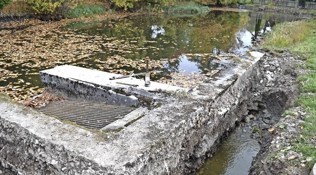 An der schadhaften Betonmauer am Mhle...len das Wasser in kleinen Bchen aus.   | Foto: Liane Schilling