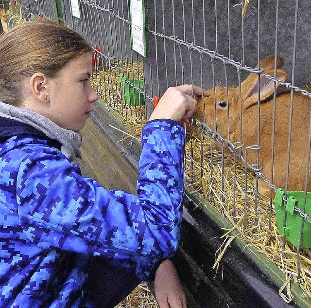 Franziska im Zwiegesprch mit einem Burgunder-Kaninchen.  | Foto: Eva Korinth
