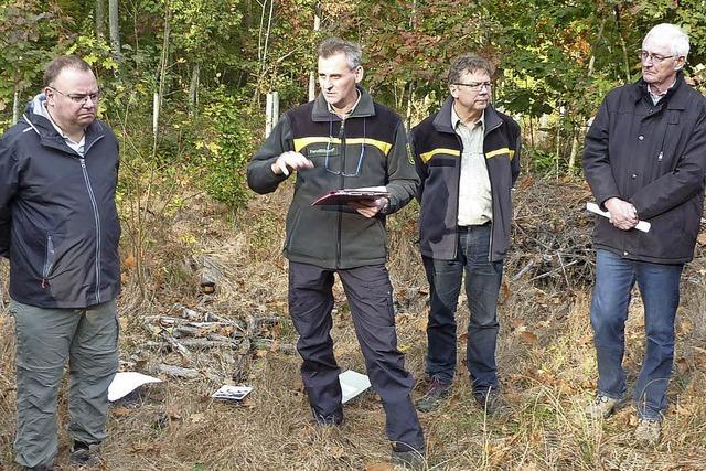 Auch Teningen hat Eschen-Probleme