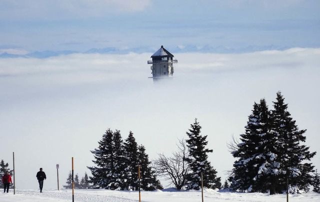 Das Biosphrengebiet Sdschwarzwald ko...tze des Feldbergturm erkennen lassen.   | Foto: Paul Wiesenberg