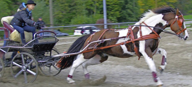 Rasante Fahrt ber die Hindernisstrecke auf dem Reitplatz St.Trudpert.  | Foto: Manfred Lange