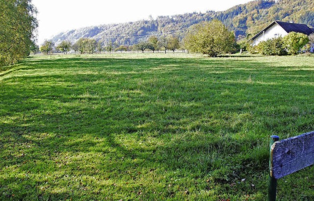 Hei begehrt zwischen Sportplatz und R...n. Links soll die Lrmschutzwand hin.   | Foto: Steinfelder