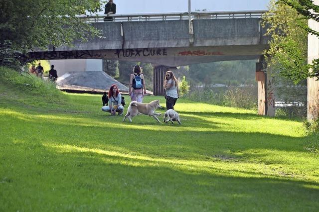 IBA Basel startet Wettberwerb zum Landschaftspark Wiese