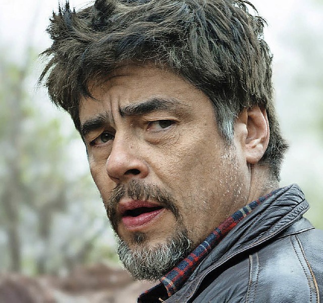 Benicio del Toro   | Foto: X Verleih