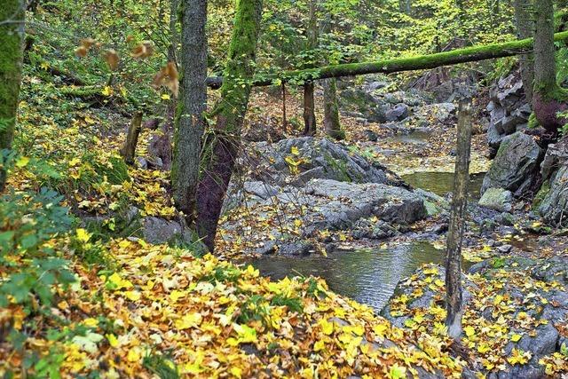 Wo Mensch und Natur sich begegnen