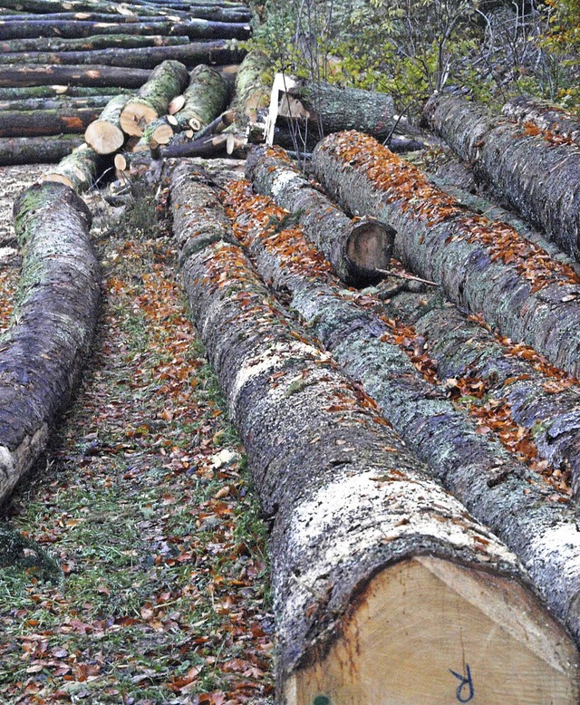 &#8222;Wie wird der Holzverkauf fr un...wesenden beim FBG-Stammtisch in Bernau  | Foto: Karin Stckl-Steinebrunner