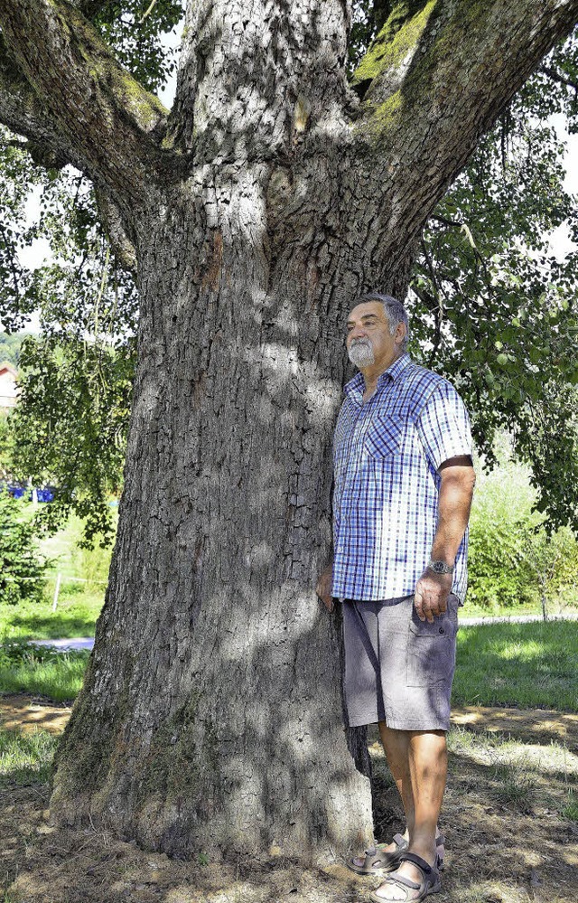 Der Birnbaum von Hans-Dieter Schmid in Feldberg  | Foto: Jens-Uwe Voss