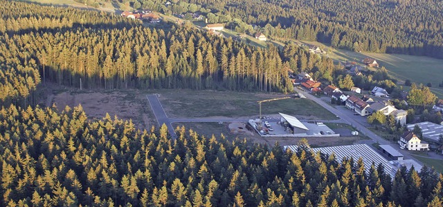 Der Wald rund um das  Gewerbegebiet R...rde jetzt der Gemeinderat informiert.   | Foto: Brichta