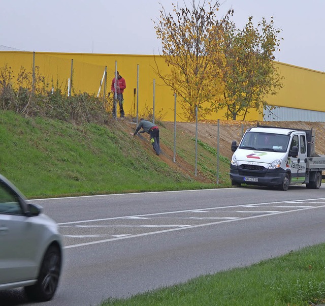 Von auen gesehen ist die Post-DHL-Pak...all zur  Bundesstrae hin gearbeitet.   | Foto: Langelott