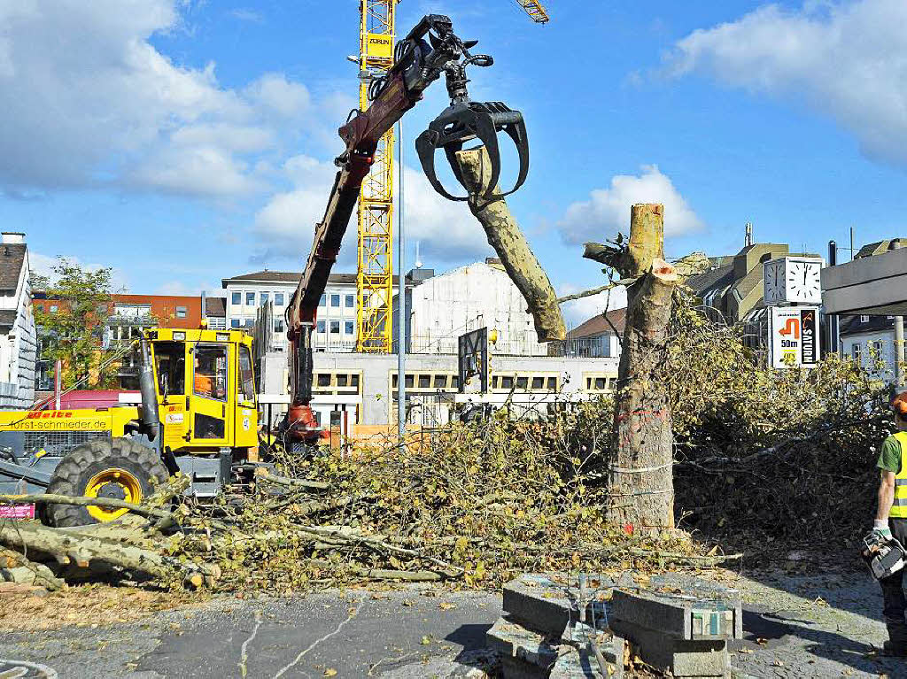 Baumfllaktion fr die neue Tramlinie in Freiburg