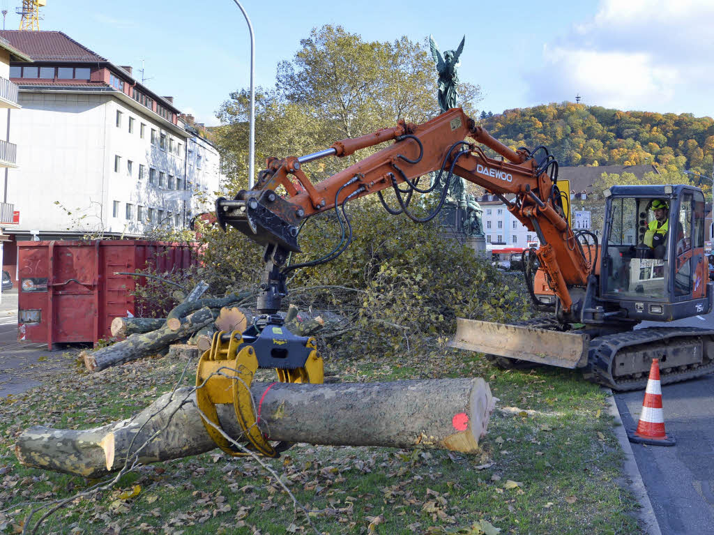 Baumfllaktion fr die neue Tramlinie in Freiburg