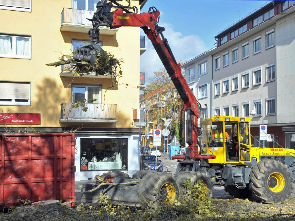 Baumfllaktion fr die neue Tramlinie in Freiburg
