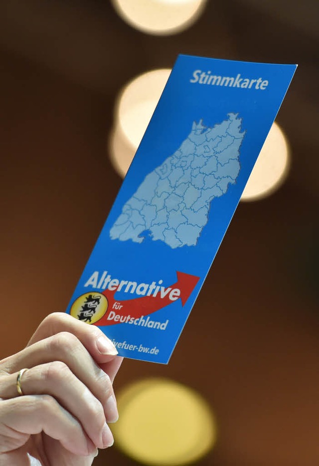 Die AfD hat ihr Thema fr die Landtagswahl gefunden.  | Foto: dpa
