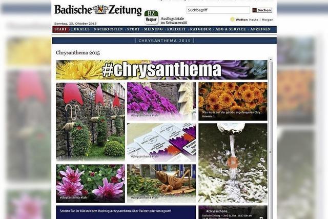 CHRYSAN-THEMA : Digital auf Vormarsch