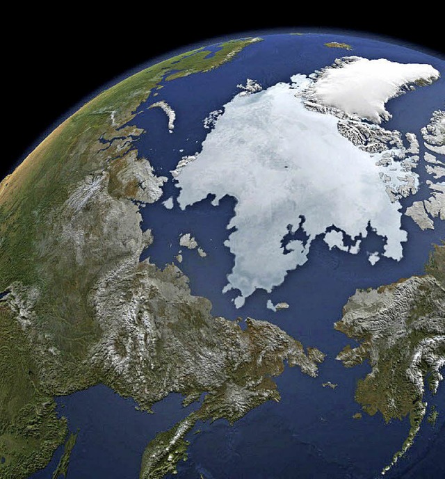 Arktis-Eis aus dem Weltall  | Foto: dpa