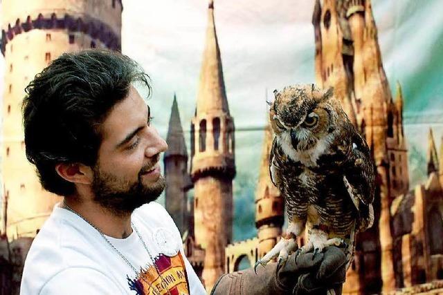 Harry-Potter-Fan erffnet in Mexiko eigenes Museum