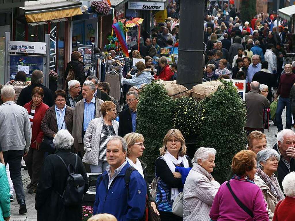 Zweites Chrysanthema-Wochenende in Lahr