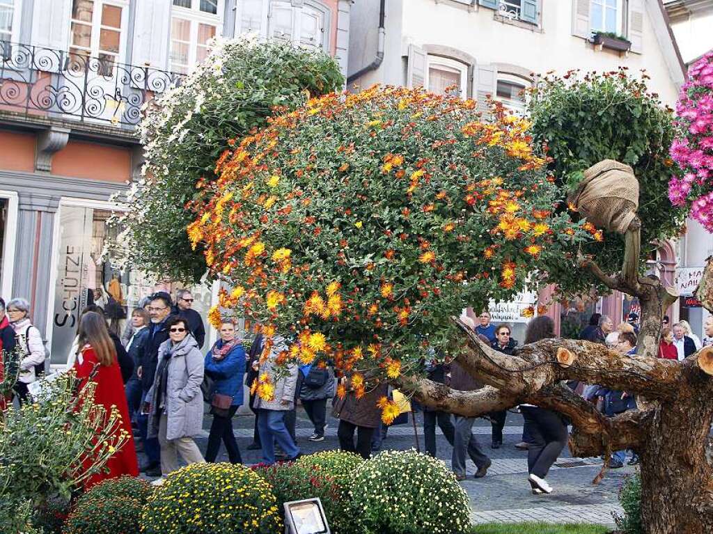 Zweites Chrysanthema-Wochenende in Lahr