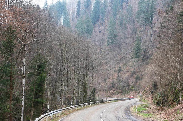 Der Bannwald Wehratal wird Teil des Biosphrengebiets Schwarzwald.  | Foto: Jrn Kerckhoff