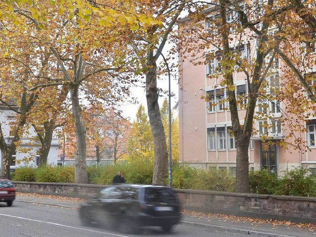 Nach den Herbstferien gibt es freien B...erden auf dem Monsch-Schulhof gefllt.  | Foto: hsl