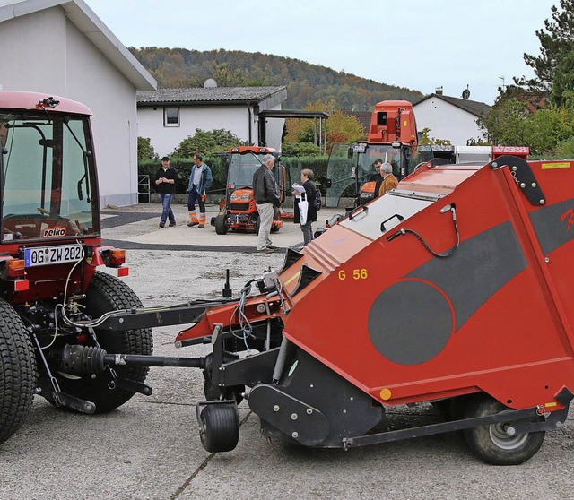 Welches Gert pflegt den Rasen im Alem... am Freitag ausgiebig Gedanken machen.  | Foto: Hans-Jrgen Hege