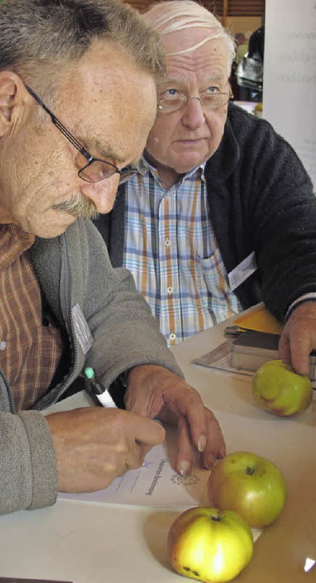 Fachleute des Pomologen Vereins bestim...l am Rhein-Mrkt in der Altrheinhalle.  | Foto: Jutta Schtz