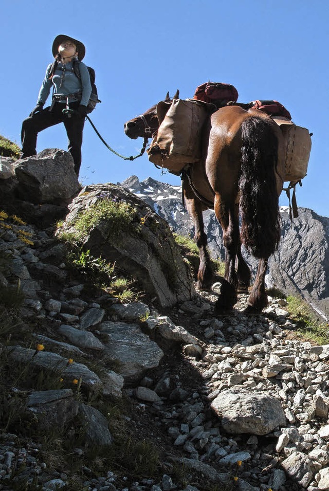 Vier Monate wanderte Dietmar Obert mit...idori und Packpferd Gina in den Alpen.  | Foto: Privat
