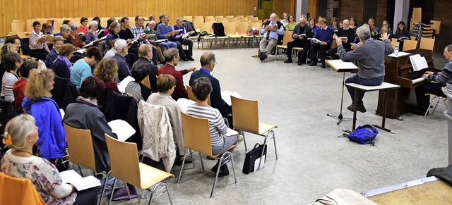 Intensiv bereitet sich der Motettenchor auf das Konzert am 8. November vor.   | Foto: Sarah Nltner