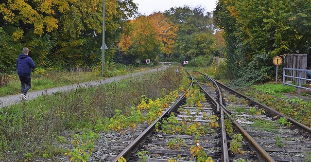 In Breisach enden bislang die Bahnglei...Jahre nicht ber den Rhein verlngert.  | Foto: Chiara Schindler