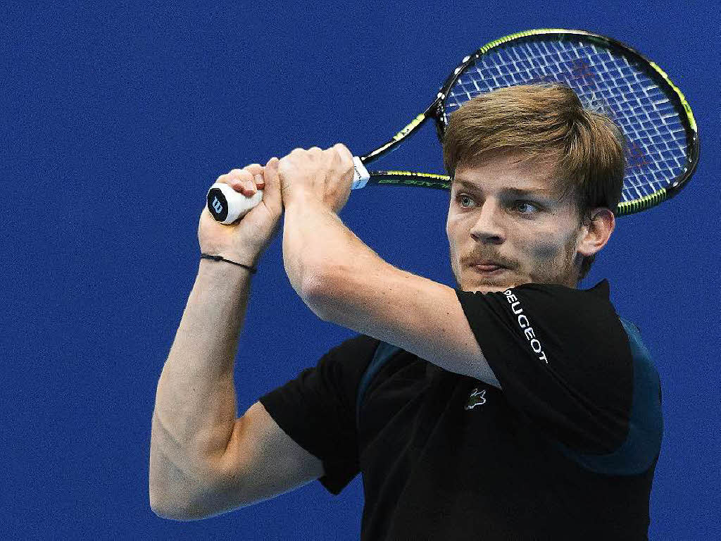 David Goffin