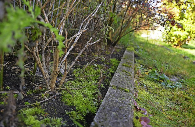 Das Streitobjekt: Um dieses Stckchen ...erbodenmaterial dort aufgebracht hat.   | Foto: Andr Hnig