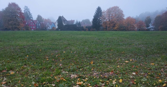 Auf der &#8222;Sumser&#8220;-Wiese an ...nft des Landkreises errichtet werden.   | Foto: Julius Steckmeister