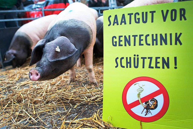 Bauern protestieren gegen  gentechnisch vernderte Futtermittel   | Foto: Archivbild: dpa