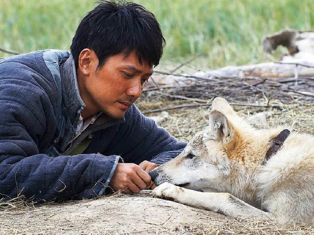 Tiefe Freundschaft: Chen Zhen (Shaofeng Feng) und der junge Wolf  | Foto: wild bunch