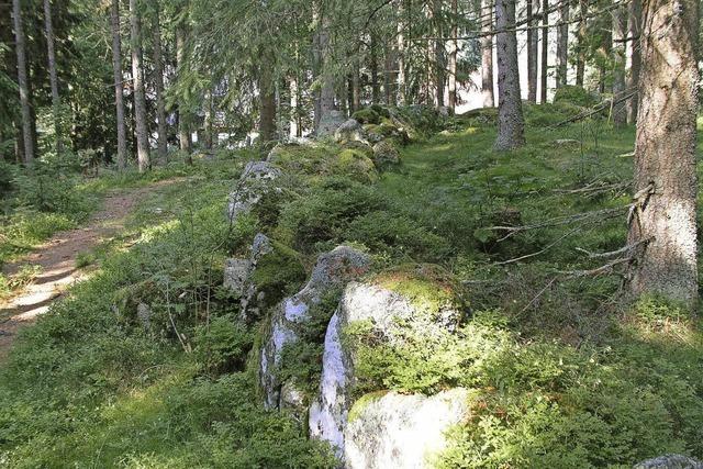 Zu steinernen Zeugen, die an Stonehenge (England) erinnern. Schluchsee-Blasiwald